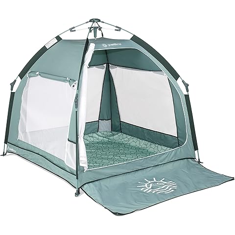 Indoor and Outdoor Baby Playground